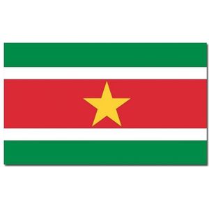 Landen thema vlag Suriname 90 x 150 cm - Vlaggen