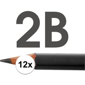 Technisch tekenen potloden hardheid 2B - Tekenpotloden