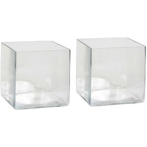 2x Lage Vierkante Vaas Transparant Glas 20 X 20 X 20 cm - Accubak - Glazen Vazen - Woonaccessoires