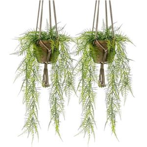 Warmte Kostuum Ontslag 2x Nep hangplant kantvaren groen in terracotta pot kunstplant -  Kunstplanten (woonaccessoires) | € 66 bij Primodo.nl | beslist.nl