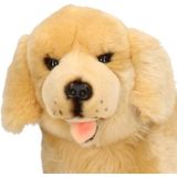 Liggende Pluche Knuffel Golden Retriever 42 cm