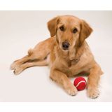 3x stuks rode hondenballen 6,4 cm - Dierenspeelgoed