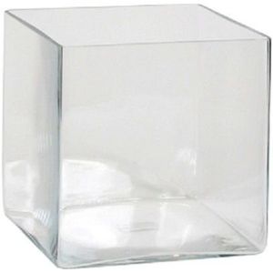Lage Vaas/Accubak Transparant Glas Vierkant 20 cm