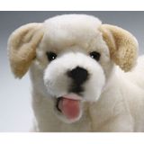 Liggende Pluche Knuffel Labrador 36 cm