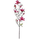 Magnolia beverboom kunsttak  donkerroze 80 cm - Kunstbloemen