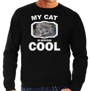 Grijze kat katten sweater / trui my cat is serious cool zwart voor heren - Sweaters