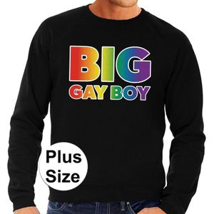 Grote maten Big Gay Boy regenboog sweater zwart voor heren  - Feesttruien