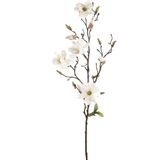 Emerald Kunstbloem Magnolia tak - 3x - 75 cm - creme - Kunst zijdebloemen