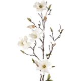 Emerald Kunstbloem Magnolia tak - 3x - 75 cm - creme - Kunst zijdebloemen