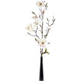 Emerald Kunstbloem Magnolia tak - 3x - 75 cm - creme - Kunst zijdebloemen