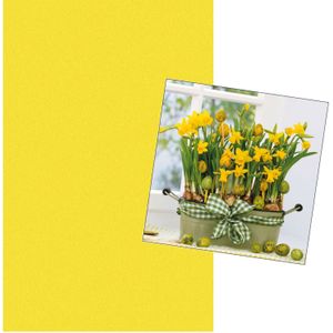 Pasen tafeldecoratie set geel tafelkleed en 20x paas thema servetten met narcissen bloemen print - Feesttafelkleden