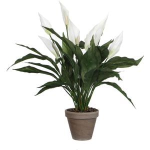 Mica Decorations Spathiphyllum Kunstplant in Bloempot Stan - H50 x Ø40 cm - Wit
