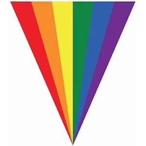 Regenboogvlag vlaggenlijn 5 meter - Vlaggenlijnen
