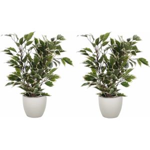 2x Stuks Groen/Witte Ficus Kunstplant 40 cm met Plantenpot Taupe D13.5 en H12.5 cm