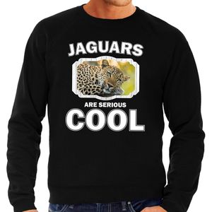 Dieren luipaard sweater zwart heren - jaguars are cool trui - Sweaters
