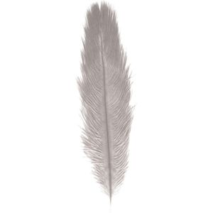 Struisvogelveer/sierveer - licht grijs - 55-60 cm - decoratie/hobbymateriaal - Verkleedveren