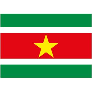 Vlag Suriname stickers 7.5 x 10 cm - Feeststickers
