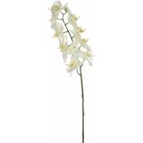 Kunstbloem Orchidee tak - wit - 71 cm - losse steel - Kunst zijdebloemen - Kunstbloemen