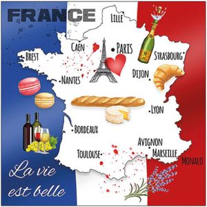 80x Tafel diner/lunch servetten 33 x 33 cm Frankrijk landen vlag thema print - Feestservetten