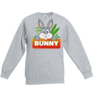 Dieren trui grijs Bunny het konijn voor kinderen - Sweaters kinderen