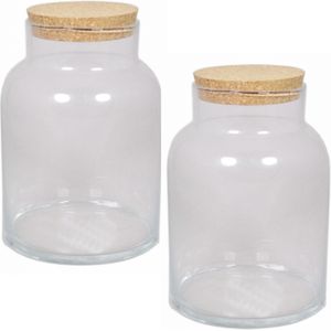 Floran Terrarium Vaas - 2x - 11 liter - met kurken deksel - 21 x 31 cm - glas - Voorraadpot