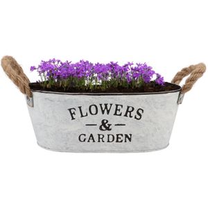Plantenpot/bloempot teil Jardin - ovaal - zink - wit - L26 x D17 x H11 cm - Plantenbakken
