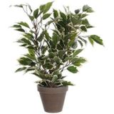 Groen/Witte Ficus Kunstplant 40 cm met Plantenpot Mat Antraciet Grijs D13.5 en H12.5 cm