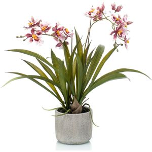 Bordeaux rode orchidee Orchidaceae kunstplant in keramische pot 45 cm -  Kunstplanten (woonaccessoires) | € 38 bij Primodo.nl | beslist.nl