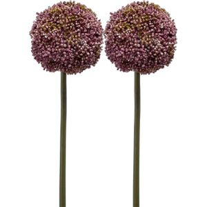 Allium/Sierui kunstbloem - 2x - losse steel - paars - 75 cm - Natuurlijke uitstraling - Kunstbloemen