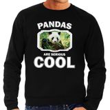 Dieren panda sweater zwart heren - pandas are cool trui - Sweaters