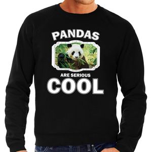 Dieren panda sweater zwart heren - pandas are cool trui - Sweaters