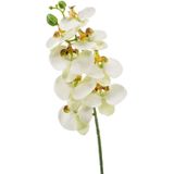 3 Phaleanopsis vlinderorchidee kunstbloem wit 70 cm - Kunstbloemen