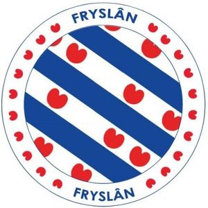 100x Friesland vlag print bierviltjes - Bierfiltjes