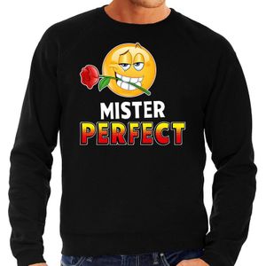 Funny emoticon sweater Mister perfect zwart heren - Feesttruien