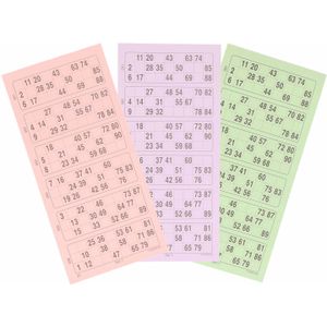 Rainbow Bingokaarten Set - 10x 1-90 Nummers - 10 Blokken van 100 Pagina's - Formaat 10x20 cm
