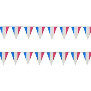 Vlaggenlijn - Frankrijk - blauw/wit/rood - kunststof - 10 meter - Vlaggenlijnen