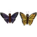 2x magneet hout gele en paarse vlinder - Magneten