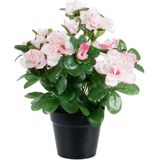 Louis Maes Azalea Kunstplant - in pot - wit/roze - H25 cm