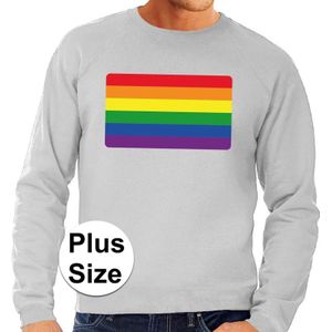 Grote maten  regenboog vlag sweater grijs voor heren  - Feesttruien