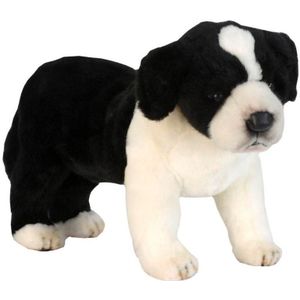 Levensechte pluche Border Collie 39 cm - Knuffel huisdieren