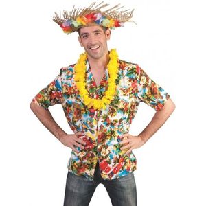 Vrolijke Hawaii blouse voor heren - Carnavalsblouses