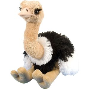 Knuffel struisvogel gekleurd 35 cm knuffels kopen - Vogel knuffels