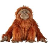 Pluche Orang Oetan Aap Knuffel 50 cm - Apen/Aapje Bosdieren Knuffeldieren - Speelgoed Voor Kinderen