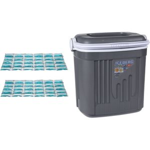 Voordelige flexibele grijze koelbox 20 liter met 2x flexibele koelelementen - Koelboxen
