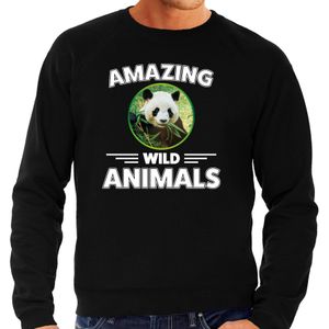 Sweater pandaberen amazing wild animals / dieren trui zwart voor heren - Sweaters