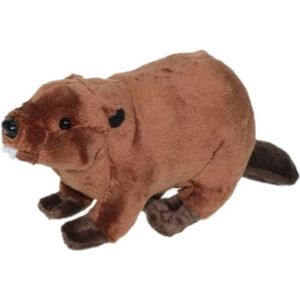 Pluche Knuffel Dieren Bever van 24 cm - Nachtdieren