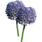 Allium/Sierui Globemaster kunstbloem - 2x - losse steel - paars - 44 cm - Natuurlijke uitstraling - Kunstbloemen