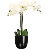 Orchidee kunstplant wit - 75 cm - inclusief bloempot zwart glans - Kunstbloemen in pot