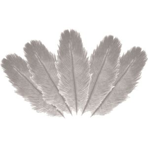 Struisvogelveren/sierveren - 5x - licht grijs - 20-25 cm - decoratie/hobbymateriaal - Verkleedveren