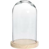 Home & Styling Decoratie stolp - 2x - van glas op houten plateau - D14 x H28 cm